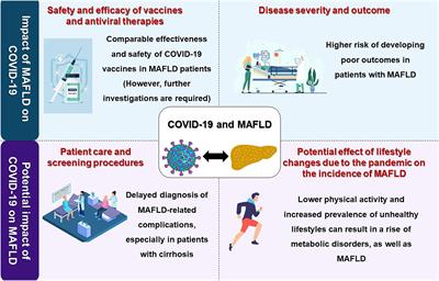 Frontiers | COVID-19 And MAFLD/NAFLD: An Updated Review